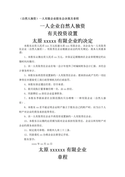 自然人独资一人有限公司股东会决议及章程.docx