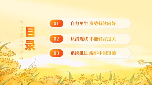 大学生形势与政策保障粮食安全的中国策ppt课件党建
