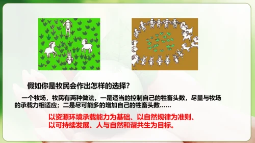 6.2共筑生命家园 课件(共30张PPT)