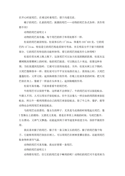 动物的尾巴说明文.docx