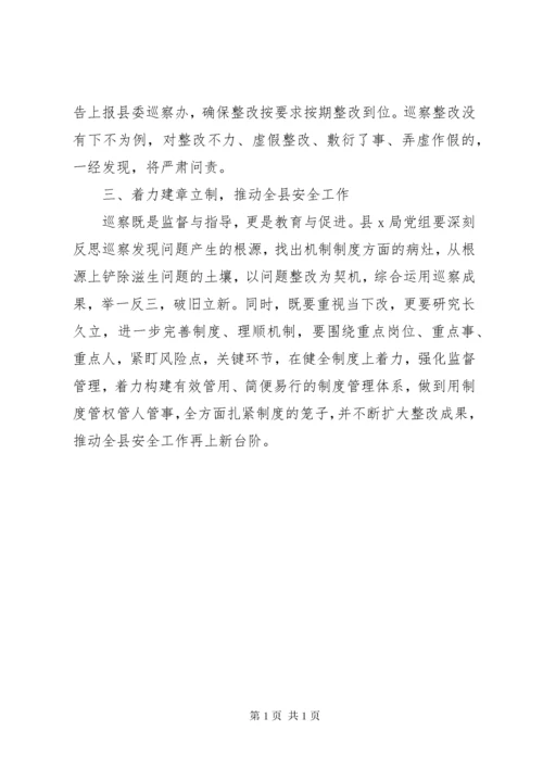 领导在巡察意见反馈会上的讲话(县级局).docx