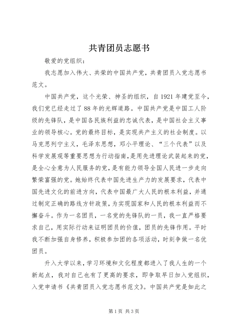 共青团员志愿书 (4).docx