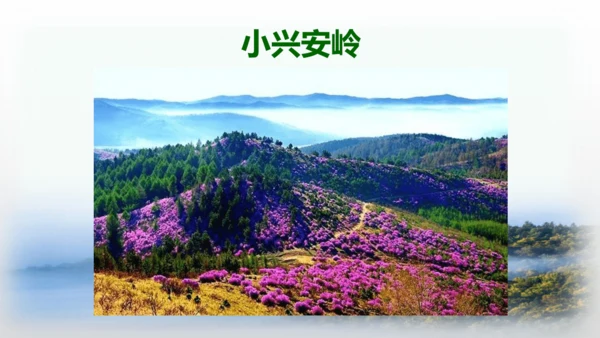 20.美丽的小兴安岭   课件
