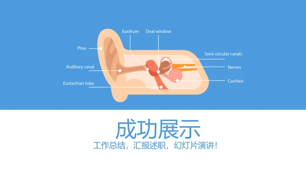 耳科进修学习工作汇报动态PPT