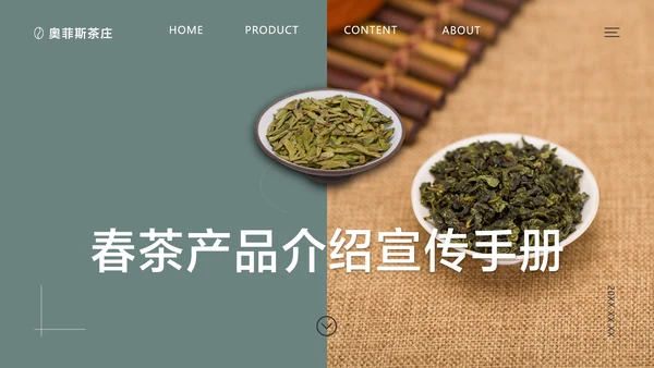 蓝灰简约风春茶产品介绍宣传手册