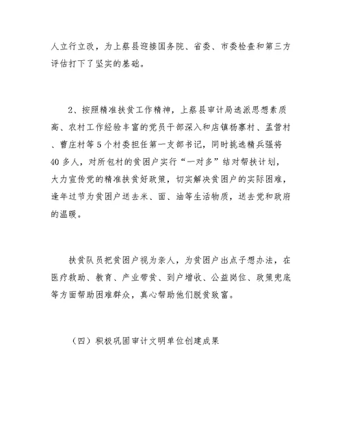 关于审计局集中调研汇报材料