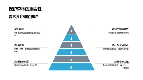 植树行动，改变未来