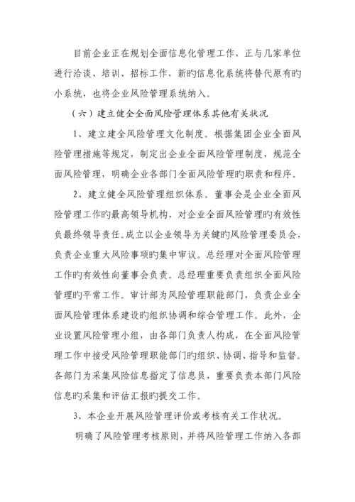 公司全面风险管理报告.docx