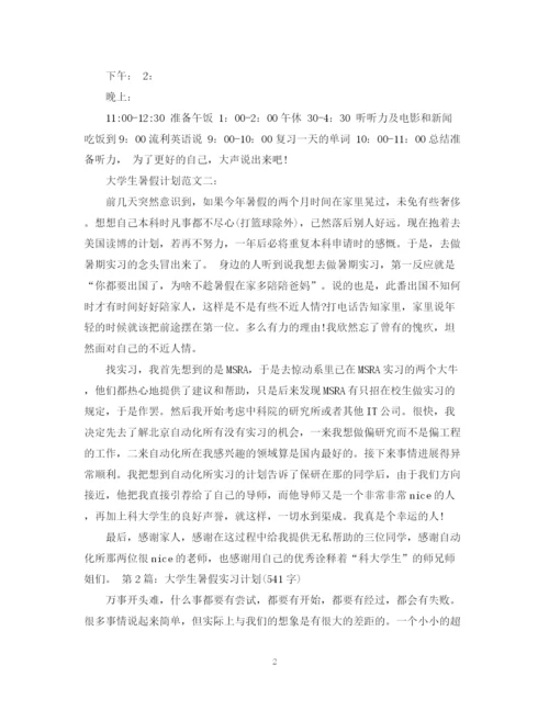 精编之大学生暑假计划范文3篇.docx