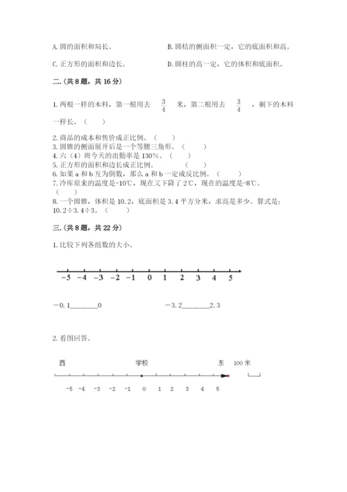 河南省平顶山市六年级下册数学期末测试卷含答案.docx