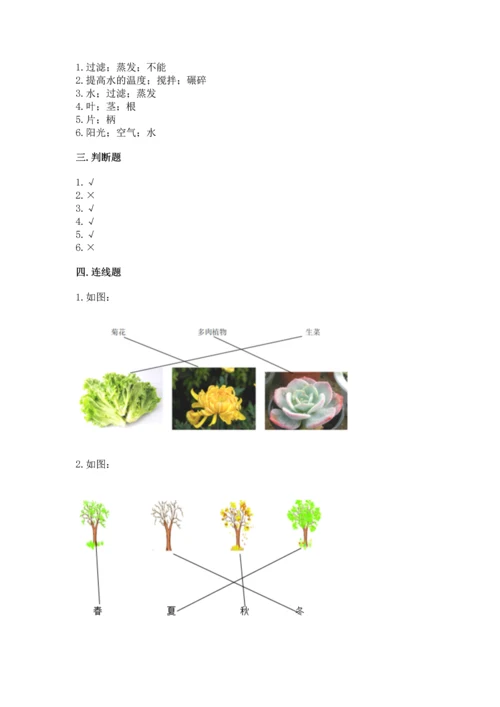 教科版科学一年级上册第一单元《植物》测试卷及完整答案（精品）.docx