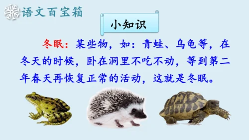 【新教材】精读引领课3.《雪地里的小画家》 课件