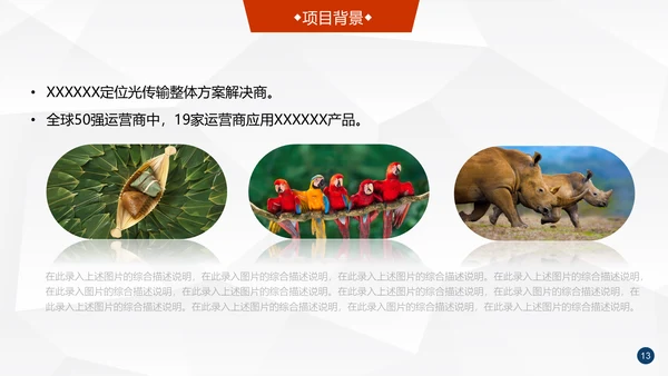全球化信息科技公司介绍企业简介通用PPT模板
