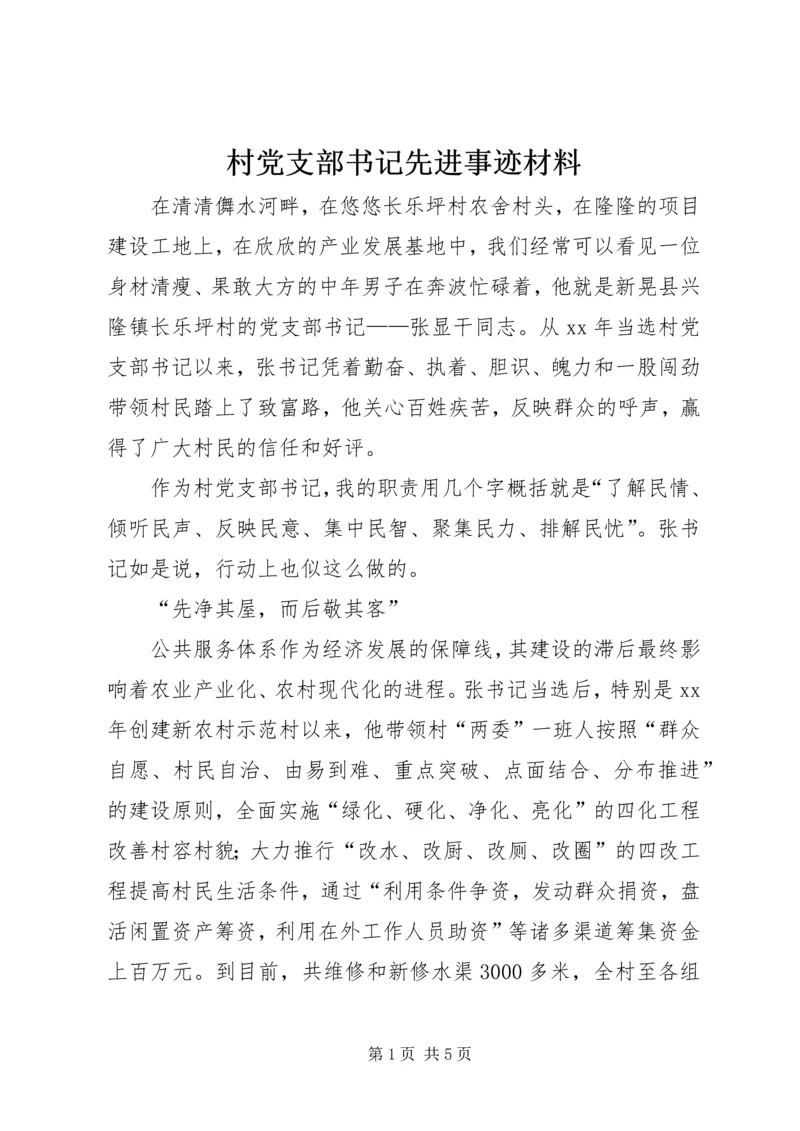 村党支部书记先进事迹材料 (12).docx