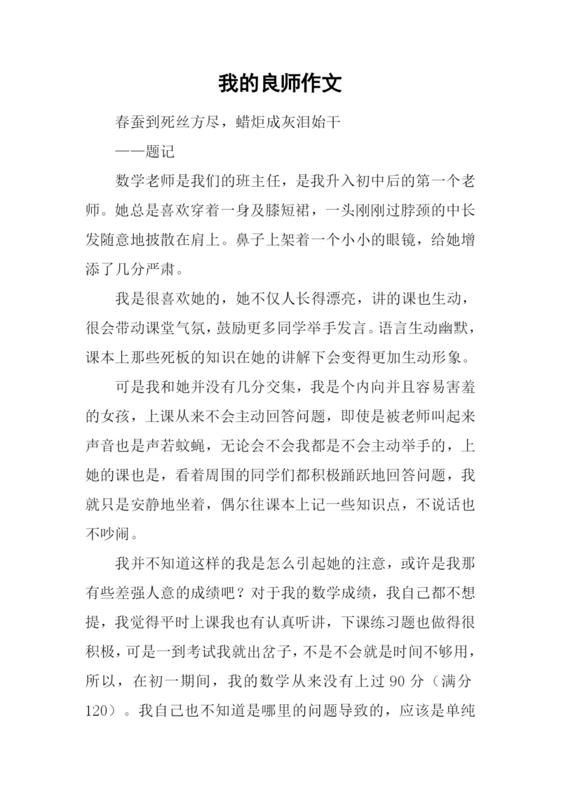 我的良师作文.docx