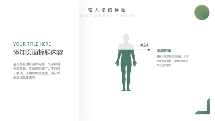 人与自然大熊猫活动宣传通用PPT模板