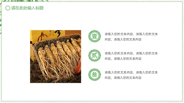 中草药中药人参通用PPT模板