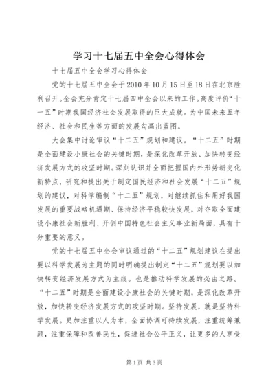 学习十七届五中全会心得体会 (2).docx