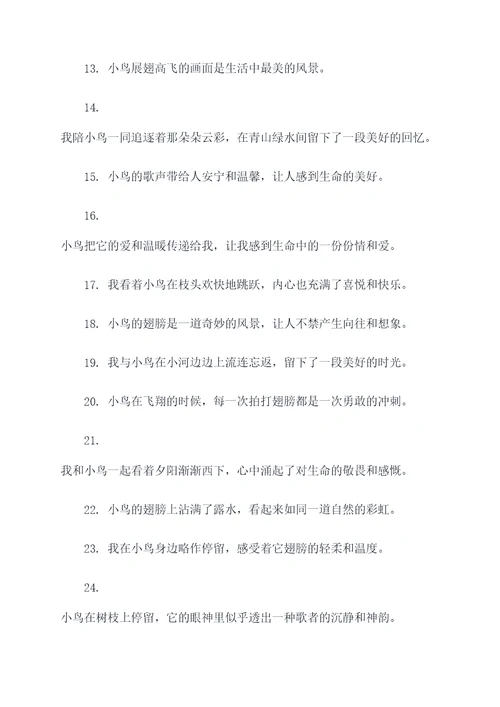 我和小鸟作文好词好句