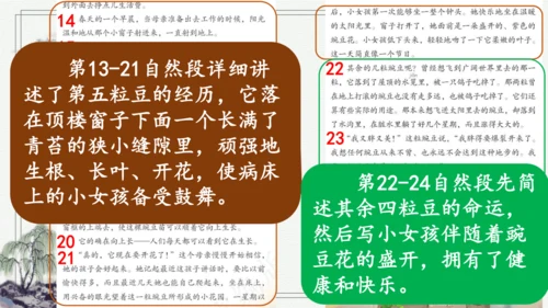 部编版四年级上册语文 5 一个豆荚里的五粒豆  课件