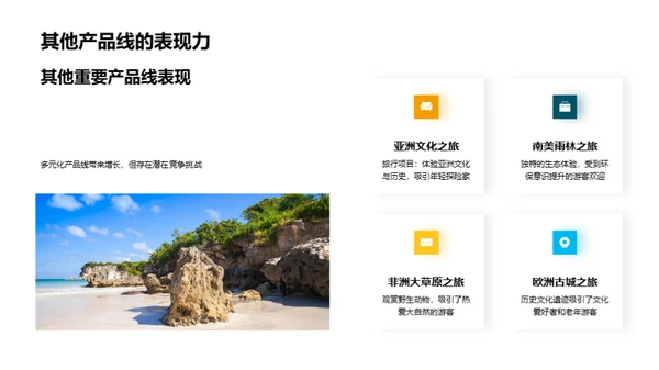 20XX旅游业发展回顾