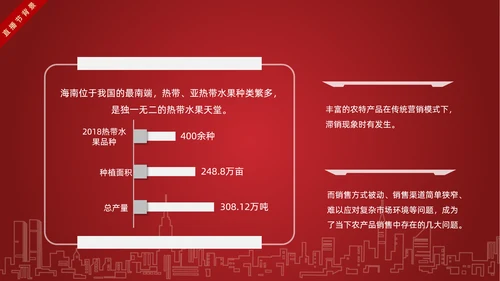网红主播直播带货电商助力扶贫PPT模板