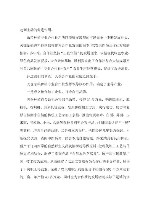 杂粮种植专业合作社调查报告