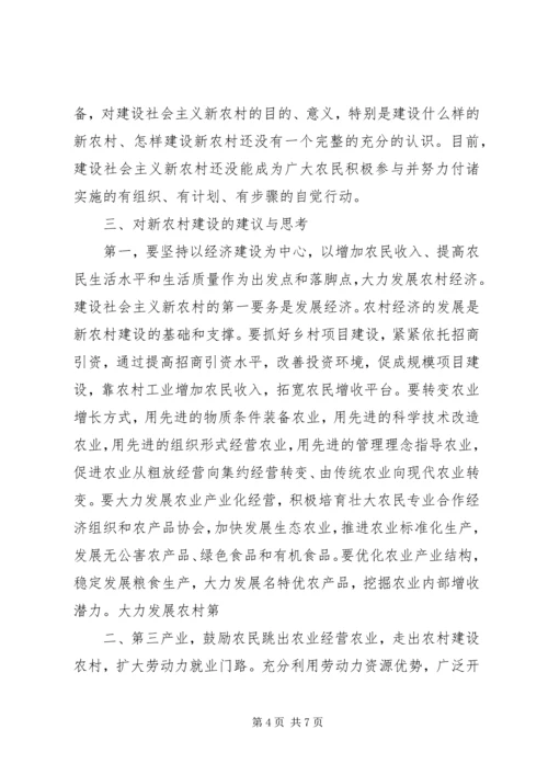 关于XX市社会主义新农村建设问题.docx