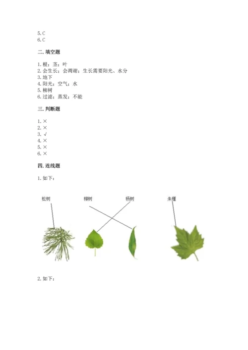 教科版科学一年级上册第一单元《植物》测试卷含完整答案【典优】.docx