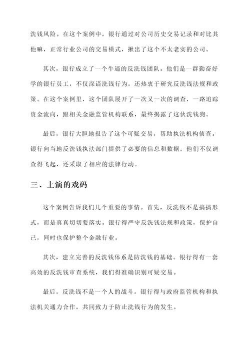 反洗钱案例宣讲总结汇报