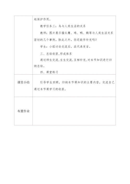 5.1.6鸟 教学设计
