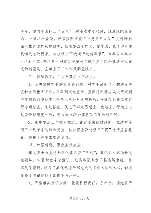 乡镇纪委某年工作总结.docx