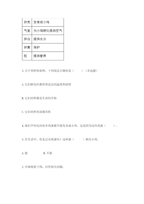 教科版三年级下册科学期末测试卷精品（b卷）.docx