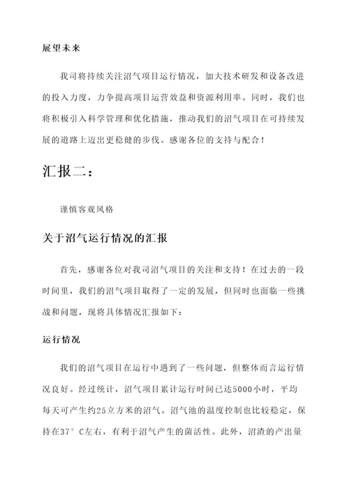 沼气运行情况汇报
