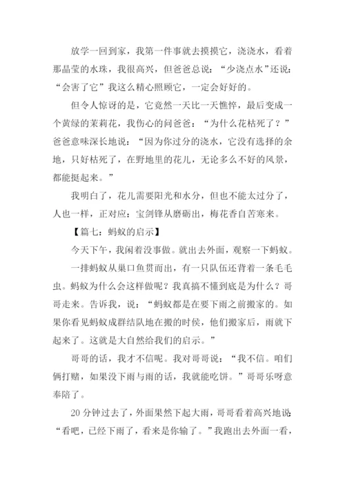 什么的启示作文200字.docx