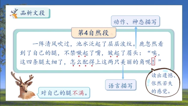 【核心素养】部编版语文三年级下册-7. 鹿角和鹿腿 第2课时（课件）