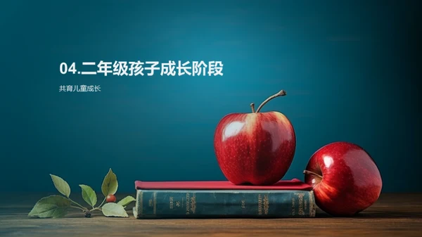 二年级学习全解析