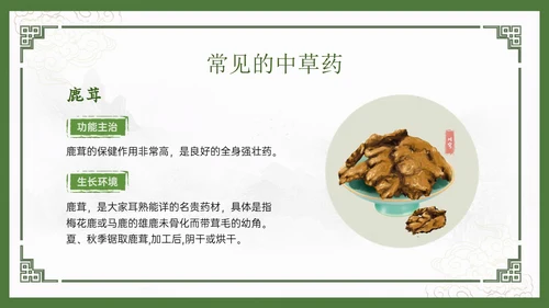 绿色中国风古风神奇中草药主题班会PPT模板中医药