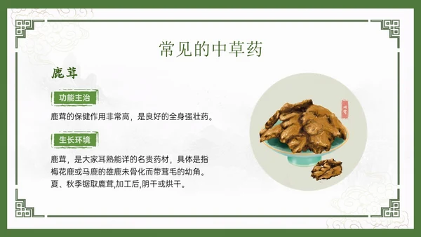 绿色中国风古风神奇中草药主题班会PPT模板中医药