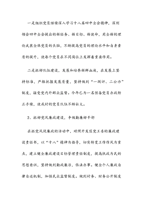村党支部2019年度工作总结2篇合集