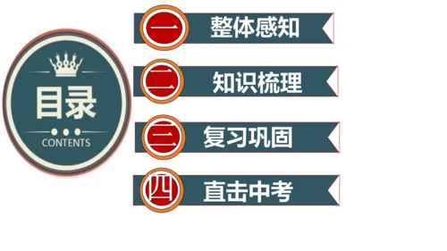 第一单元 殖民地人民的反抗与资本主义制度的扩展（单元复习课件）-2023-2024学年九年级历史下册