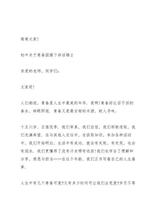 初中关于青春国旗下讲话稿范文10篇.docx