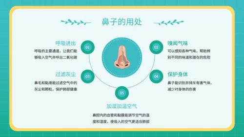 蓝色插画风幼儿园教学课件五官保护小课堂PPT