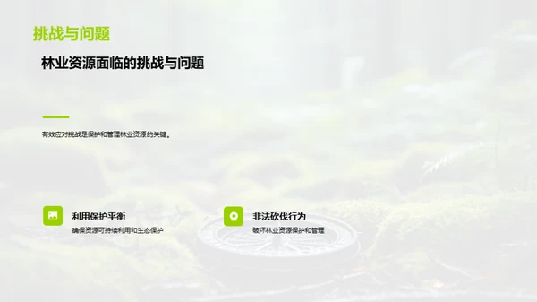 林业可持续发展策略