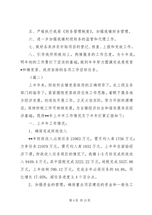 乡镇财政所半年总结范文_1.docx