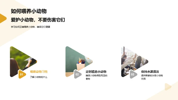 我们的小小动物园