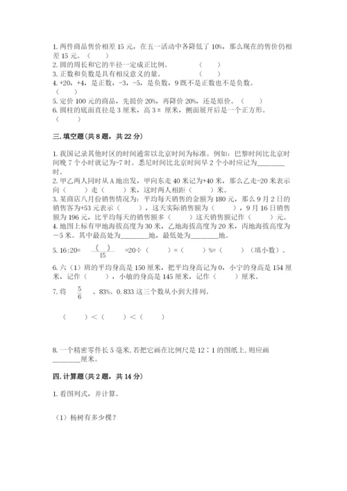 安顺地区小升初数学测试卷完美版.docx