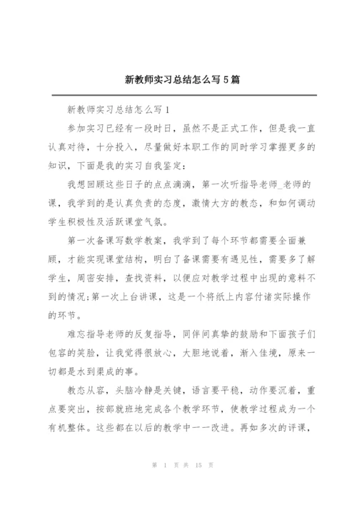 新教师实习总结怎么写5篇.docx