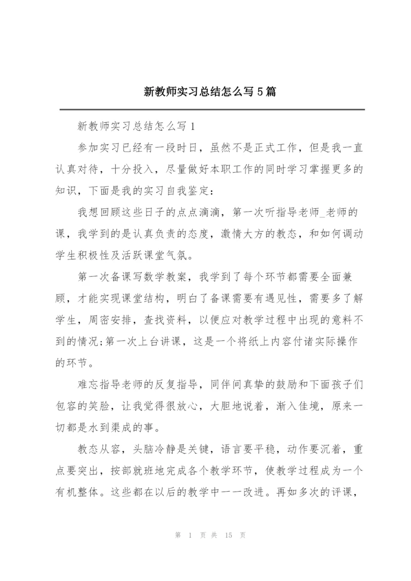 新教师实习总结怎么写5篇.docx