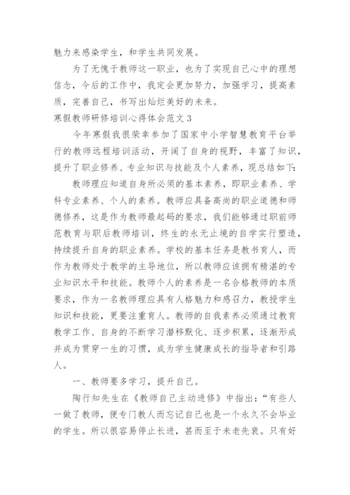 寒假教师研修培训心得体会.docx